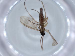  ( - BIOUG63247-E02)  @11 [ ] CreativeCommons - Attribution (2020) Centre for Biodiversity Genomics Centre for Biodiversity Genomics