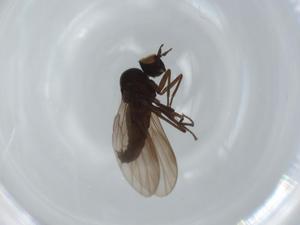  ( - BIOUG63354-H08)  @11 [ ] CreativeCommons - Attribution (2020) Centre for Biodiversity Genomics Centre for Biodiversity Genomics