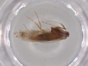  ( - BIOUG63367-D11)  @11 [ ] CreativeCommons - Attribution (2020) Centre for Biodiversity Genomics Centre for Biodiversity Genomics