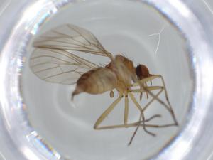  ( - BIOUG63437-B04)  @11 [ ] CreativeCommons - Attribution (2020) Centre for Biodiversity Genomics Centre for Biodiversity Genomics
