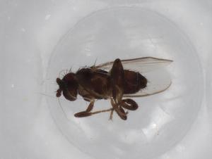  ( - BIOUG70685-D07)  @11 [ ] CreativeCommons - Attribution (2021) Centre for Biodiversity Genomics Centre for Biodiversity Genomics