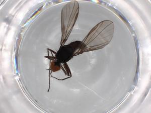  ( - BIOUG70691-B12)  @11 [ ] CreativeCommons - Attribution (2021) Centre for Biodiversity Genomics Centre for Biodiversity Genomics