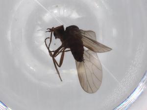  ( - BIOUG71650-C08)  @11 [ ] CreativeCommons - Attribution (2021) Centre for Biodiversity Genomics Centre for Biodiversity Genomics