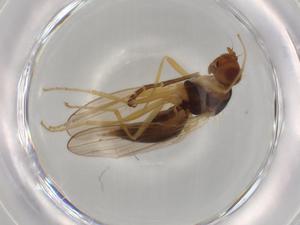  ( - BIOUG72140-E07)  @11 [ ] CreativeCommons - Attribution (2021) Centre for Biodiversity Genomics Centre for Biodiversity Genomics