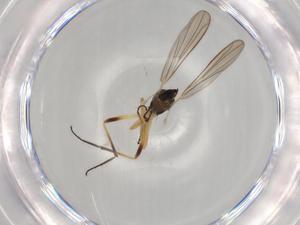  ( - BIOUG72140-E10)  @11 [ ] CreativeCommons - Attribution (2021) Centre for Biodiversity Genomics Centre for Biodiversity Genomics