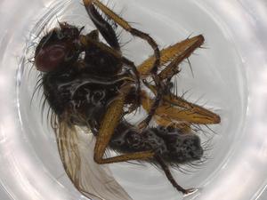  ( - BIOUG72164-G01)  @11 [ ] CreativeCommons - Attribution (2021) Centre for Biodiversity Genomics Centre for Biodiversity Genomics