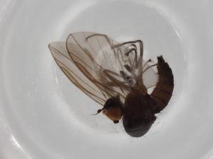  ( - BIOUG72165-E09)  @11 [ ] CreativeCommons - Attribution (2021) Centre for Biodiversity Genomics Centre for Biodiversity Genomics