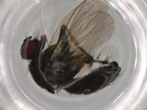  ( - BIOUG73204-H03)  @11 [ ] CreativeCommons - Attribution (2021) Centre for Biodiversity Genomics Centre for Biodiversity Genomics