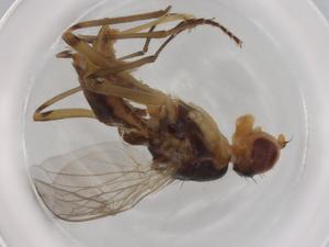  ( - BIOUG73290-C06)  @11 [ ] CreativeCommons - Attribution (2021) Centre for Biodiversity Genomics Centre for Biodiversity Genomics