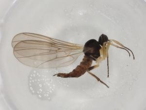  ( - BIOUG73296-E10)  @11 [ ] CreativeCommons - Attribution (2021) Centre for Biodiversity Genomics Centre for Biodiversity Genomics