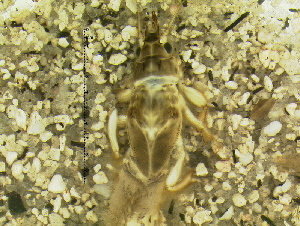  ( - 10HIMXD-0114)  @12 [ ] Unspecified (default): All Rights Reserved  Unspecified Unspecified