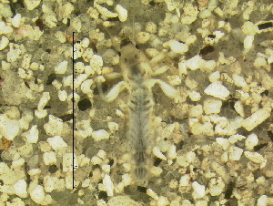  ( - 10HIMXD-0124)  @12 [ ] Unspecified (default): All Rights Reserved  Unspecified Unspecified