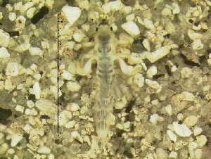  ( - 10HIMXD-0125)  @12 [ ] Unspecified (default): All Rights Reserved  Unspecified Unspecified