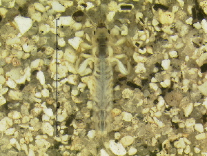  ( - 10HIMXD-0126)  @12 [ ] Unspecified (default): All Rights Reserved  Unspecified Unspecified