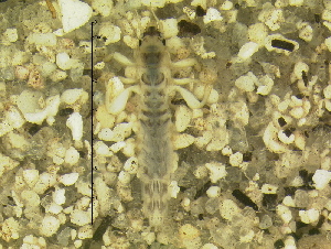  ( - 10HIMXD-0128)  @12 [ ] Unspecified (default): All Rights Reserved  Unspecified Unspecified