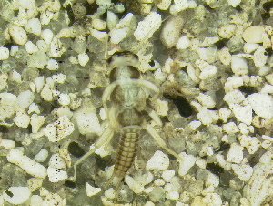  ( - 10HIMXD-0232)  @13 [ ] Unspecified (default): All Rights Reserved  Unspecified Unspecified