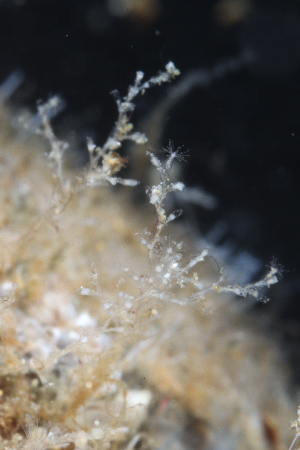  ( - HYDROINS_102)  @11 [ ] Creative Commons Attribution-NonCommercial-ShareAlike (2025) Doris Bjorling University of Gothenburg