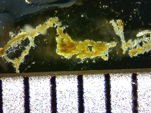  ( - HYDROINS_253)  @11 [ ] CreativeCommons  Attribution Non-Commercial Share-Alike (2025) Doris Björling University of Gothenburg