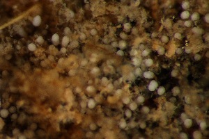  ( - HYDROINS_405)  @11 [ ] Attribution Non-Commercial Share-Alike (2025) Doris Bjorling University of Gothenburg