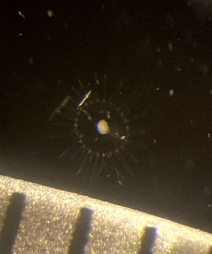  ( - HYDROINS_629)  @11 [ ] Unspecified (default): All Rights Reserved (2025) Doris Bjorling University of Gothenburg