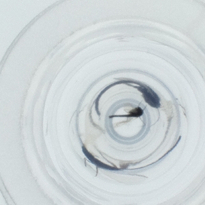  ( - HIRW_043_D2)  @11 [ ] by  Genome Research Ltd as Wellcome Sanger Institute Genome Research Limited operating as Wellcome Sanger Institute