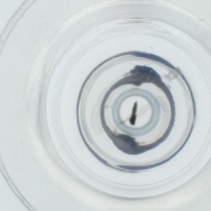  ( - HIRW_051_A11)  @11 [ ] by  Genome Research Ltd as Wellcome Sanger Institute Genome Research Limited operating as Wellcome Sanger Institute