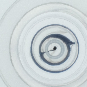  ( - HIRW_051_C5)  @11 [ ] by  Genome Research Ltd as Wellcome Sanger Institute Genome Research Limited operating as Wellcome Sanger Institute