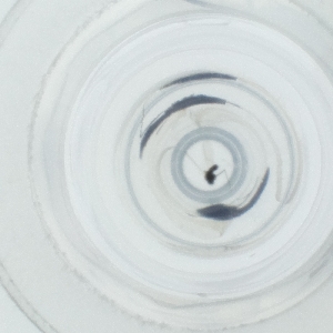  ( - HIRW_052_A8)  @11 [ ] by  Genome Research Ltd as Wellcome Sanger Institute Genome Research Limited operating as Wellcome Sanger Institute