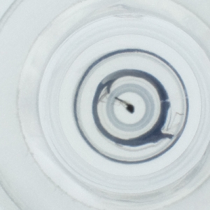  ( - HIRW_052_B6)  @11 [ ] by  Genome Research Ltd as Wellcome Sanger Institute Genome Research Limited operating as Wellcome Sanger Institute