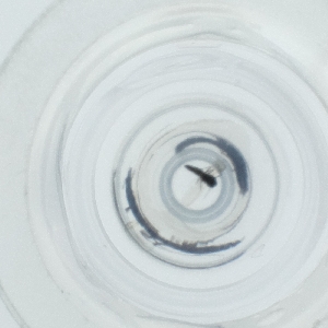  ( - HIRW_052_G3)  @11 [ ] by  Genome Research Ltd as Wellcome Sanger Institute Genome Research Limited operating as Wellcome Sanger Institute