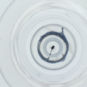  ( - HIRW_052_G7)  @11 [ ] by  Genome Research Ltd as Wellcome Sanger Institute Genome Research Limited operating as Wellcome Sanger Institute