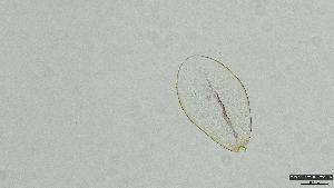 ( - 2023EPH_004_ECS013_b)  @11 [ ] Unspecified (default): All Rights Reserved  Unspecified Unspecified