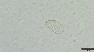  ( - 2023EPH_004_ECS013_b)  @11 [ ] Unspecified (default): All Rights Reserved  Unspecified Unspecified