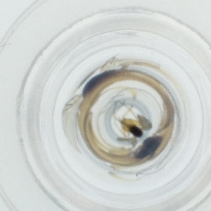  ( - HLNR_003_D7)  @11 [ ] by  Genome Research Ltd as Wellcome Sanger Institute Genome Research Limited operating as Wellcome Sanger Institute