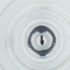  ( - HLNR_005_E3)  @11 [ ] by  Genome Research Ltd as Wellcome Sanger Institute Genome Research Limited operating as Wellcome Sanger Institute