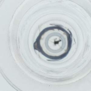  ( - HLNR_006_B9)  @11 [ ] by  Genome Research Ltd as Wellcome Sanger Institute Genome Research Limited operating as Wellcome Sanger Institute