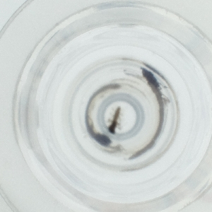  ( - HLNR_007_F6)  @11 [ ] by  Genome Research Ltd as Wellcome Sanger Institute Genome Research Limited operating as Wellcome Sanger Institute