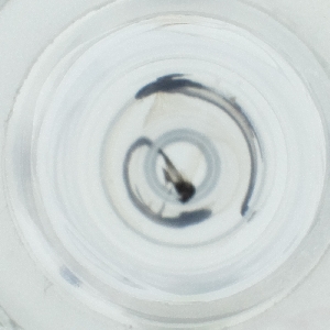  ( - HLNR_010_B2)  @11 [ ] by  Genome Research Ltd as Wellcome Sanger Institute Genome Research Limited operating as Wellcome Sanger Institute