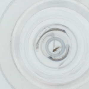  ( - HLNR_042_F8)  @11 [ ] by  Genome Research Ltd as Wellcome Sanger Institute Genome Research Limited operating as Wellcome Sanger Institute