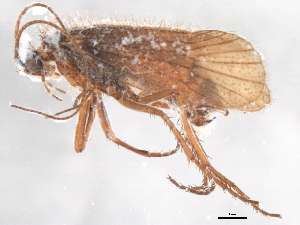  ( - 10HMCAD-549)  @12 [ ] CreativeCommons - Attribution (2010) CBG Photography Group Centre for Biodiversity Genomics