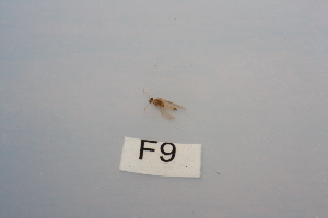  ( - HMCAD0111-69)  @12 [ ] Unspecified (default): All Rights Reserved  none Unspecified