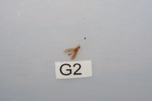  ( - HMCAD0111-74)  @11 [ ] Unspecified (default): All Rights Reserved  none Unspecified