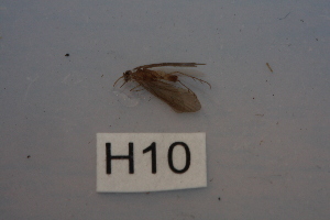  ( - HMCAD0111-94)  @11 [ ] Unspecified (default): All Rights Reserved  none Unspecified