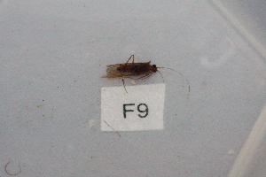  ( - HMCAD0111-165)  @12 [ ] Unspecified (default): All Rights Reserved  none Unspecified