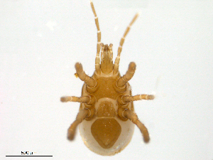  ( - BIOUG23330-E04)  @11 [ ] CreativeCommons - Attribution (2016) Centre for Biodiversity Genomics Centre for Biodiversity Genomics