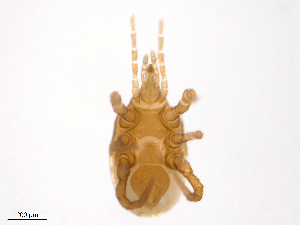  ( - BIOUG23330-F05)  @11 [ ] CreativeCommons - Attribution (2016) Centre for Biodiversity Genomics Centre for Biodiversity Genomics
