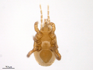  ( - BIOUG23330-F06)  @11 [ ] CreativeCommons - Attribution (2016) Centre for Biodiversity Genomics Centre for Biodiversity Genomics