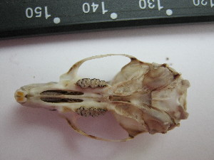  ( - USNM-AWF904)  @12 [ ] Unspecified (default): All Rights Reserved  Unspecified Unspecified