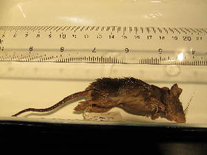  ( - USNM-AWF908)  @12 [ ] Unspecified (default): All Rights Reserved  Unspecified Unspecified