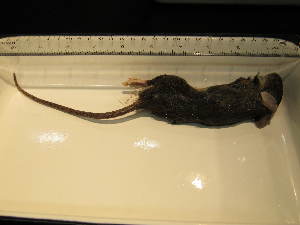  ( - USNM-AWF910)  @12 [ ] Unspecified (default): All Rights Reserved  Unspecified Unspecified